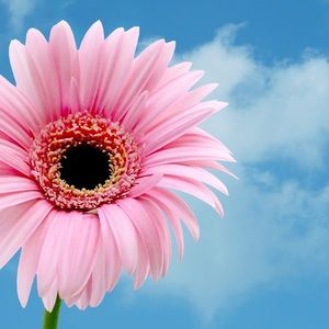 Meet your Posher, Janine